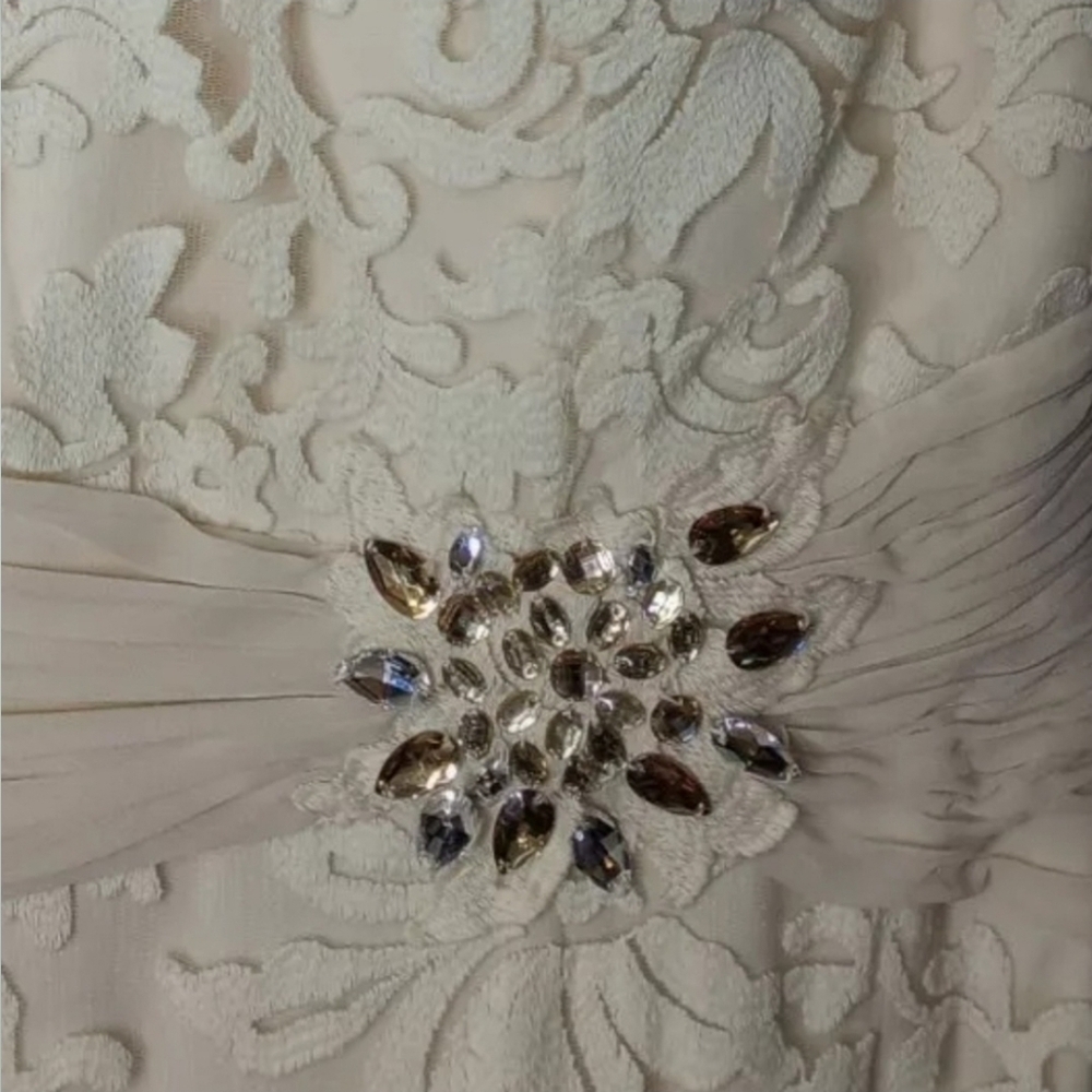 Elegant Cream Lace Dress - Picture 9 of 13